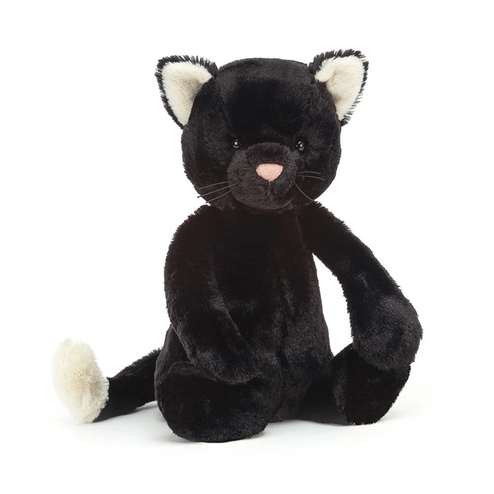 black kitten