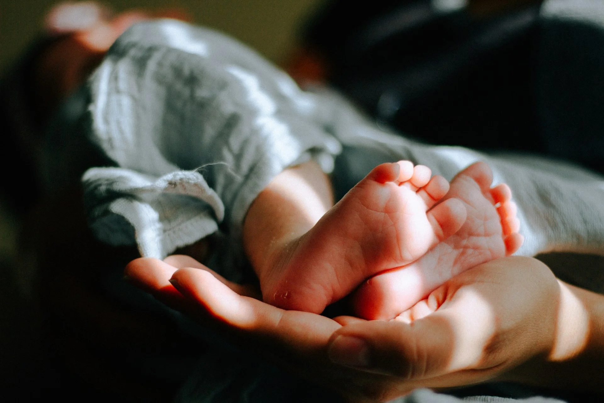 doudou bébé